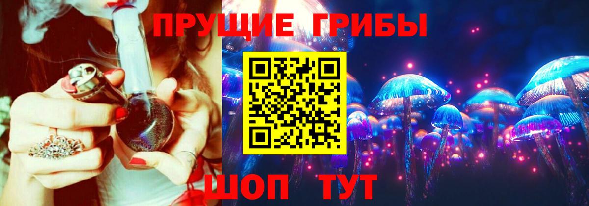 купить закладку  Галлюциногенные грибы Cubensis  Вход с VPN  Новороссийск 